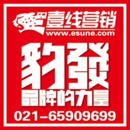 構建高效市場營銷策略 從策劃到執行的完整方案